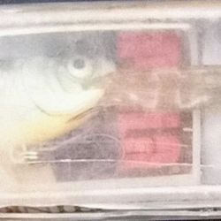 Rapala Jointed Shad Rap JSR5