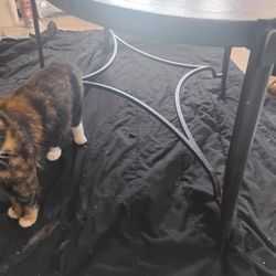 Hammery Occasional Table Item#: 259-910 Oval