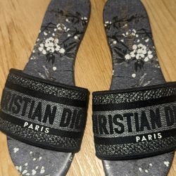 Dior Dway Slides