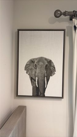 Framed Elephant Canvas Wall Art