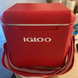 Small Igloo Cooler