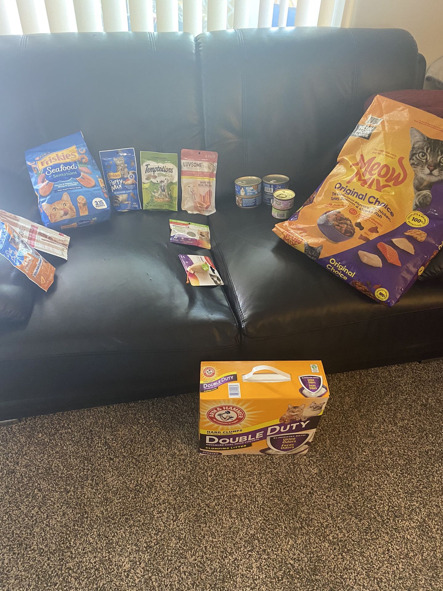 Cat Food