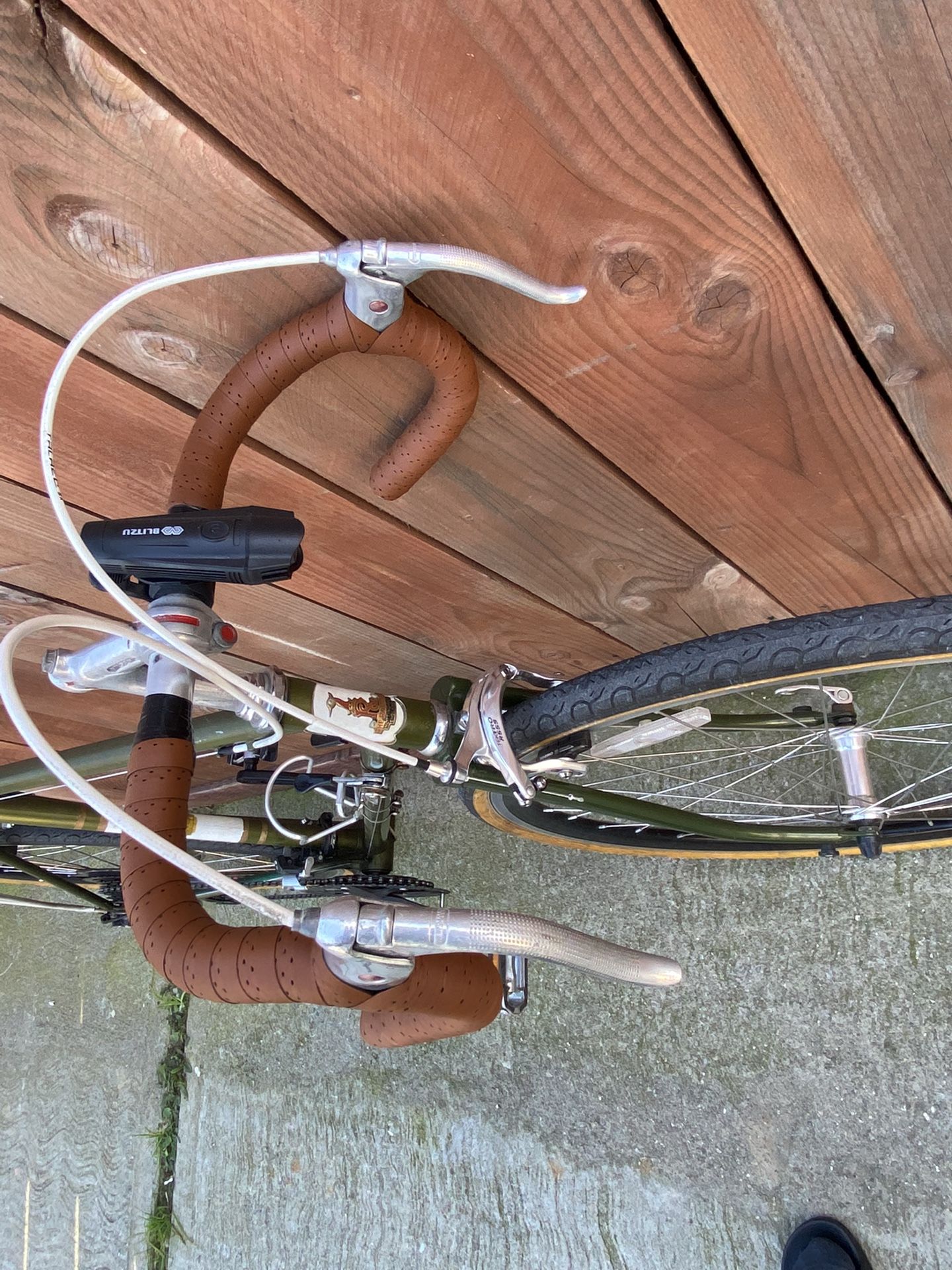 1967 Raleigh Record Bike