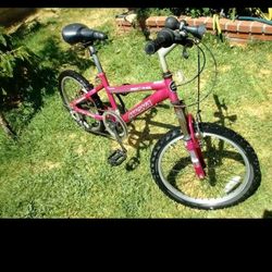 Bicicleta / bicycle
