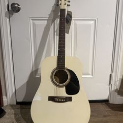Johnson Guitar With Case