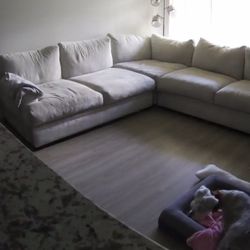 Cindy Crawford Hudson Street Beige 3pc Sectional Couch