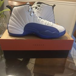 Jordan 12s Blueberry 