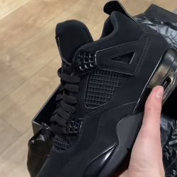 Black Cats