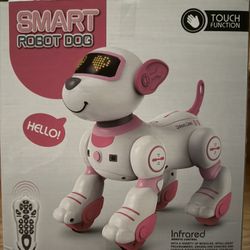 Smart Robot