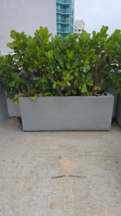 Planters
