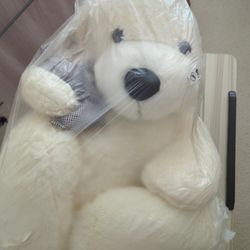 Teddy Bear Packed And Unused