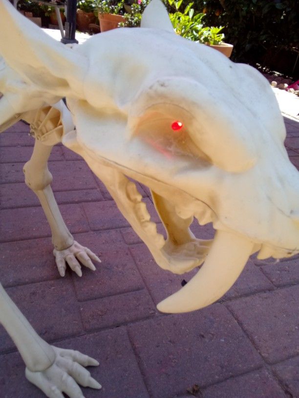 Halloween Saber Tooth Tiger Skeleton