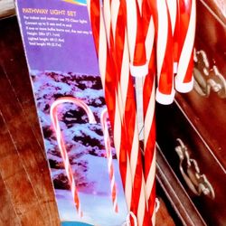 Lighted Candy Canes , Set Of 4 - $15. Great Condition, Pick Up In Oak Cliff 
