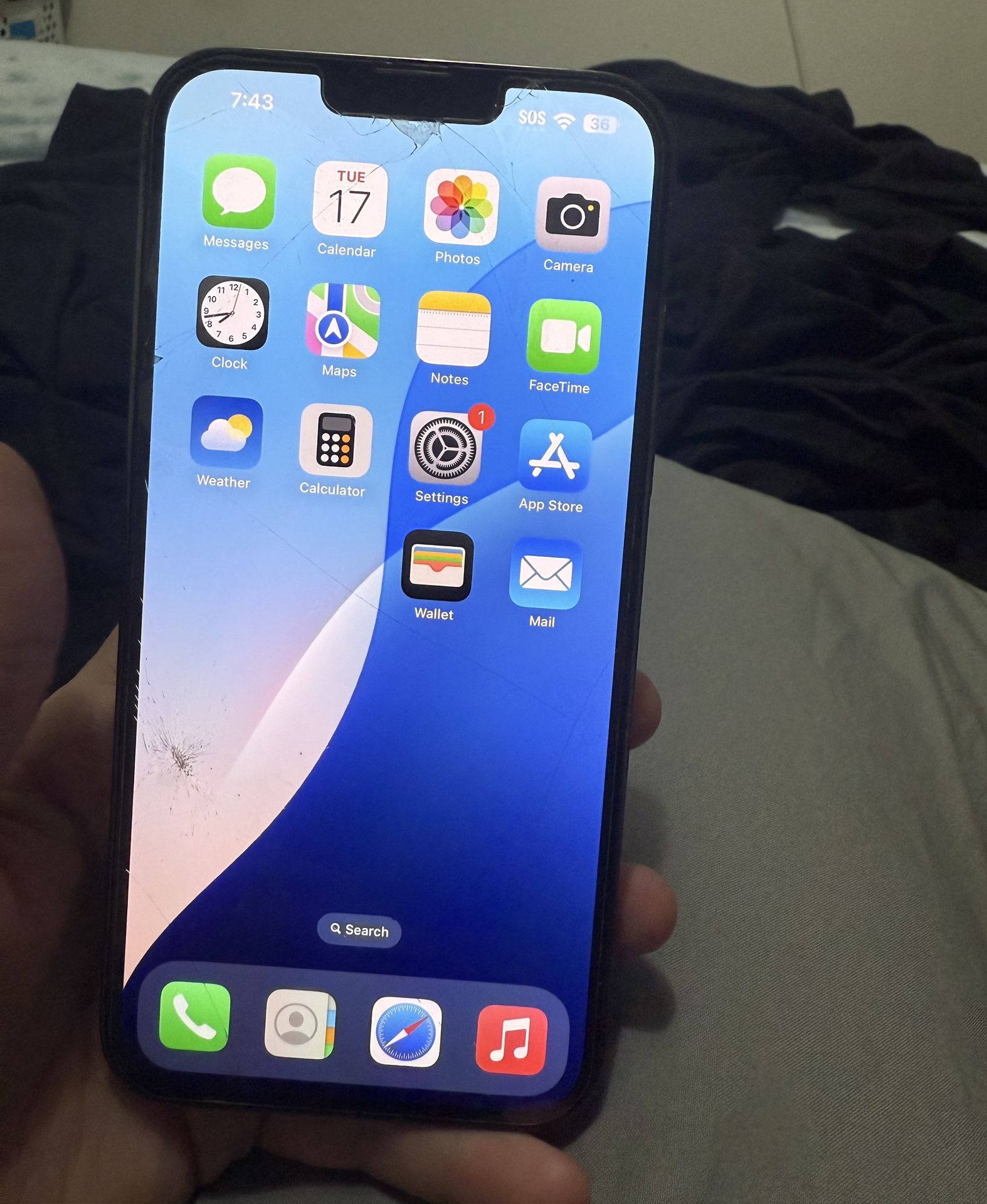 iPhone 13 Pro Max