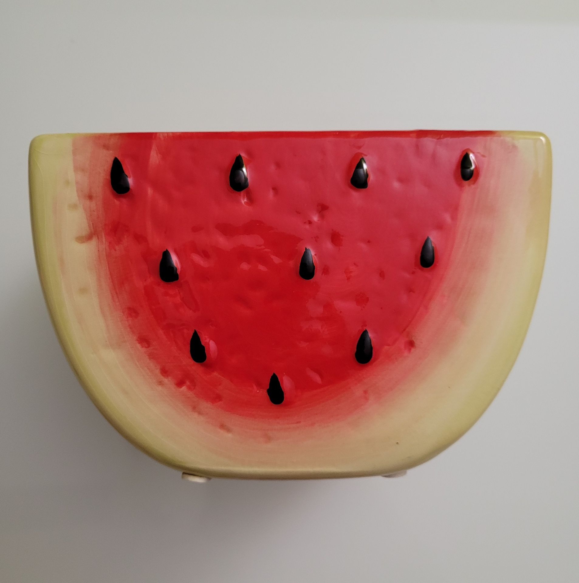 Red and Green Cute Watermelon Planter Pot
