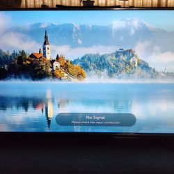 LG 55 inch TV $150