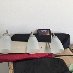 Wall Mount Light (PRICE DROP)