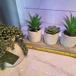 Faux Succulents 