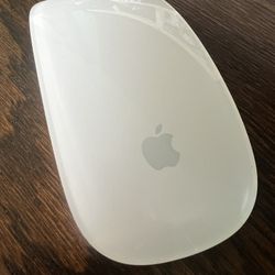 Apple Magic Mouse 