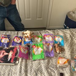 McDonald’s beanie babies teen