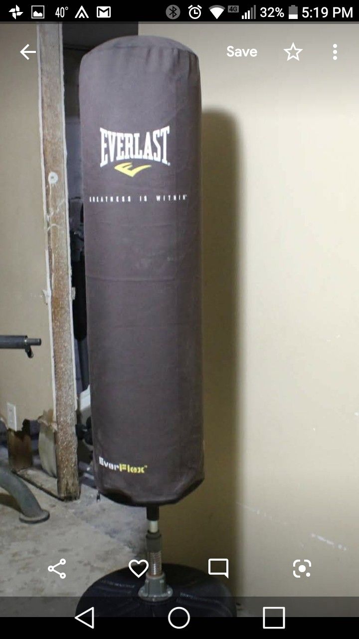 Everlast punching bag