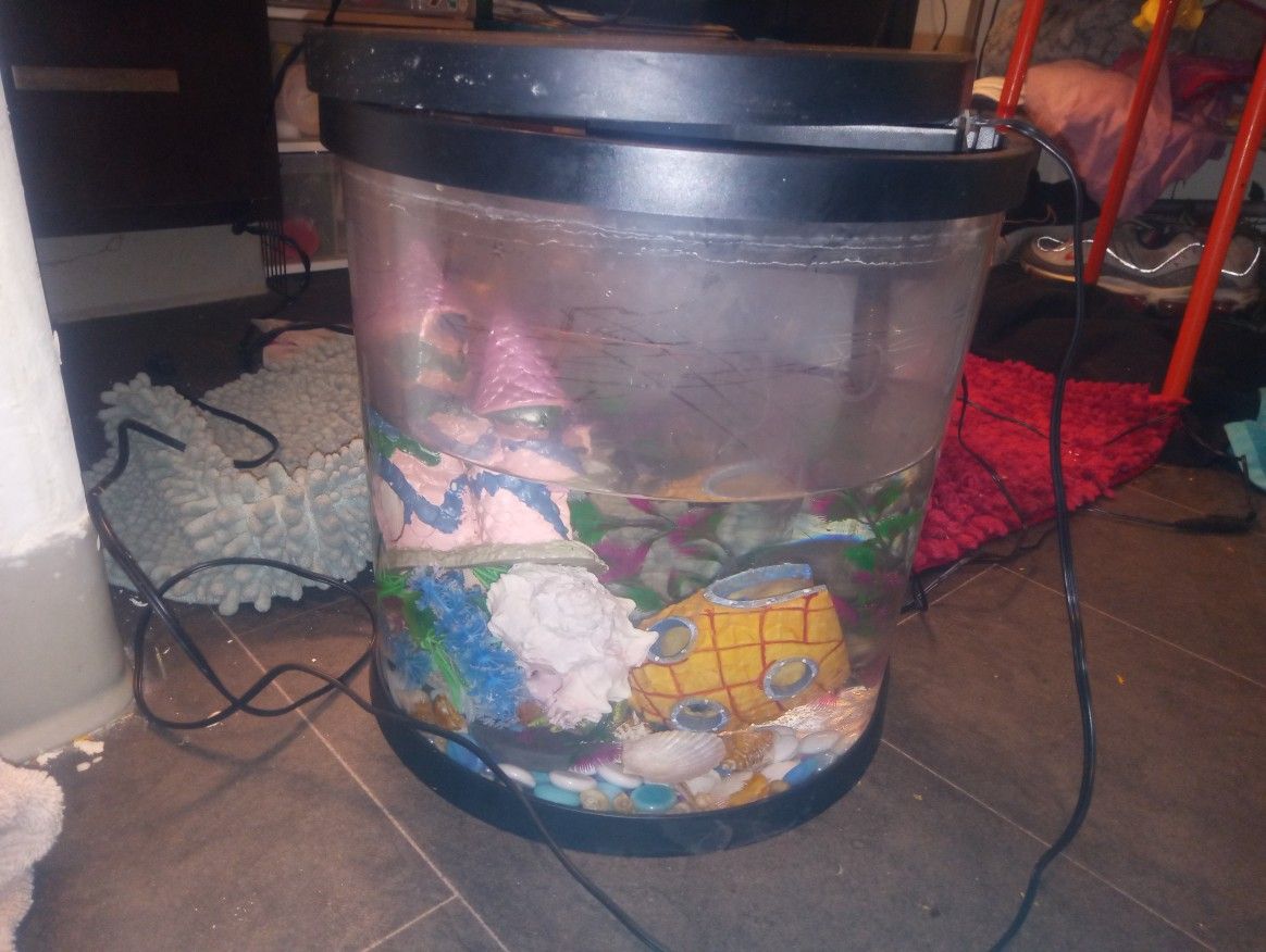 Fish Tank(No Fish)
