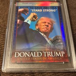 Donald Trump Card 