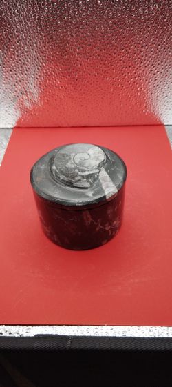 Orthoceras Announit Container With A Lid 