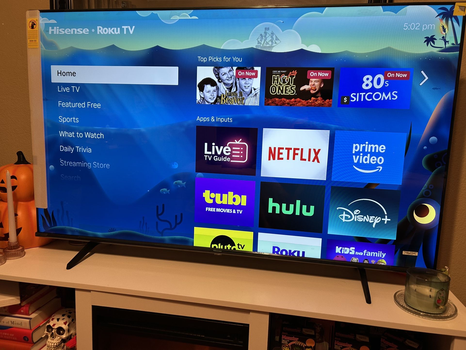 Hi Sense Roku Tv