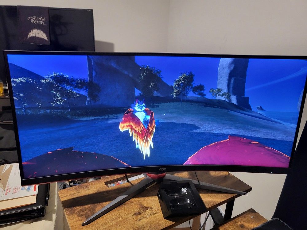 Aoc 34" Curved Monitor