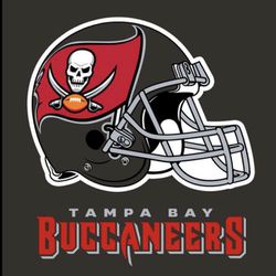 39 Tampa Bay Buccaneers Arizona Cardinals Lower Level Tickets  Thumbnail