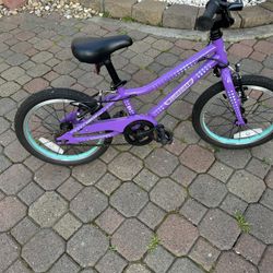 Guardian 16” Bike