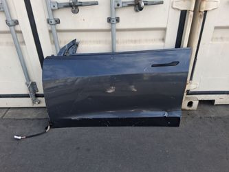 Tesla model 3 driver door