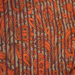 Lularoe Tall And Curvy Leggings