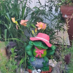 Frog with Hat 