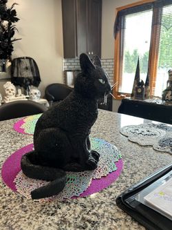 Vintage unlimited realistic rubber black cat prop