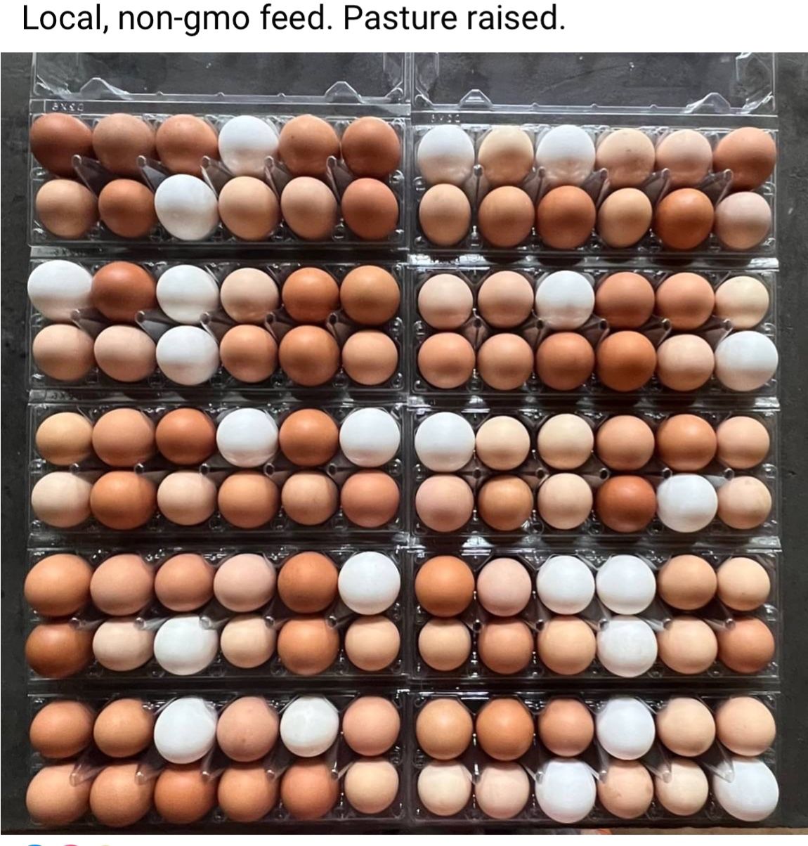 Eggs Pasture Raised W/ Non GMO local Feed