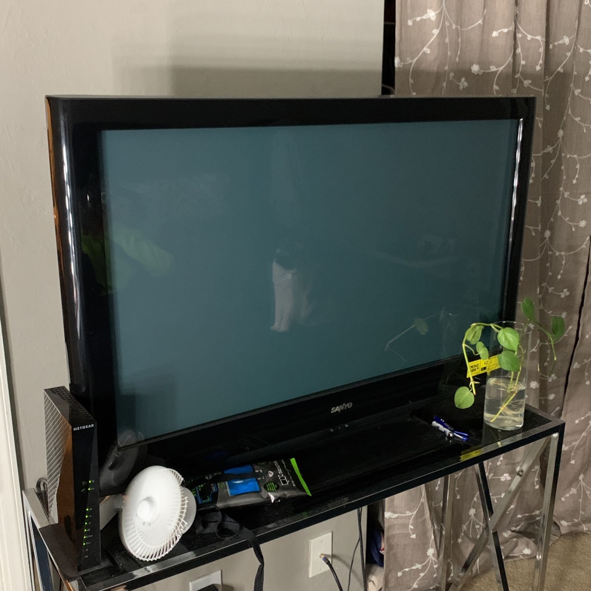 Sanyo 42” Inch TV  w/Roku 