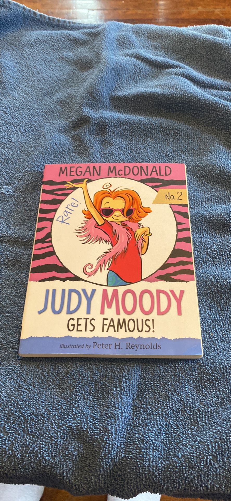 Judy Moody Book