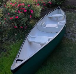 Canoe with oars and canoe dolly