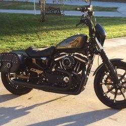 2016 Harley Davidson 883 Iron