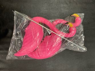 96 Flamingos!