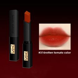 YS Beauty Makeup Lipstick #316 Rotten Tomato