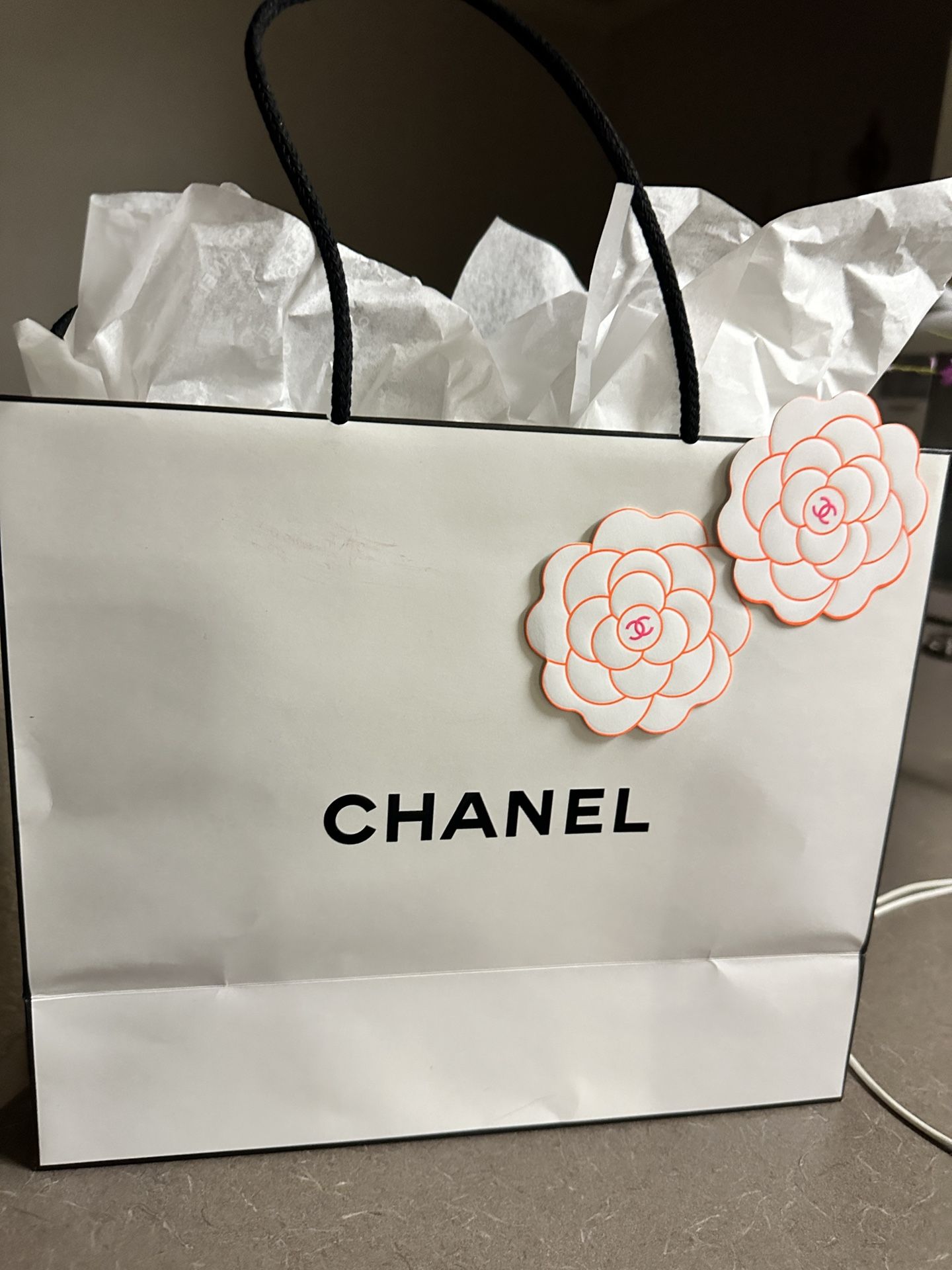 Chanel Store Bag $20