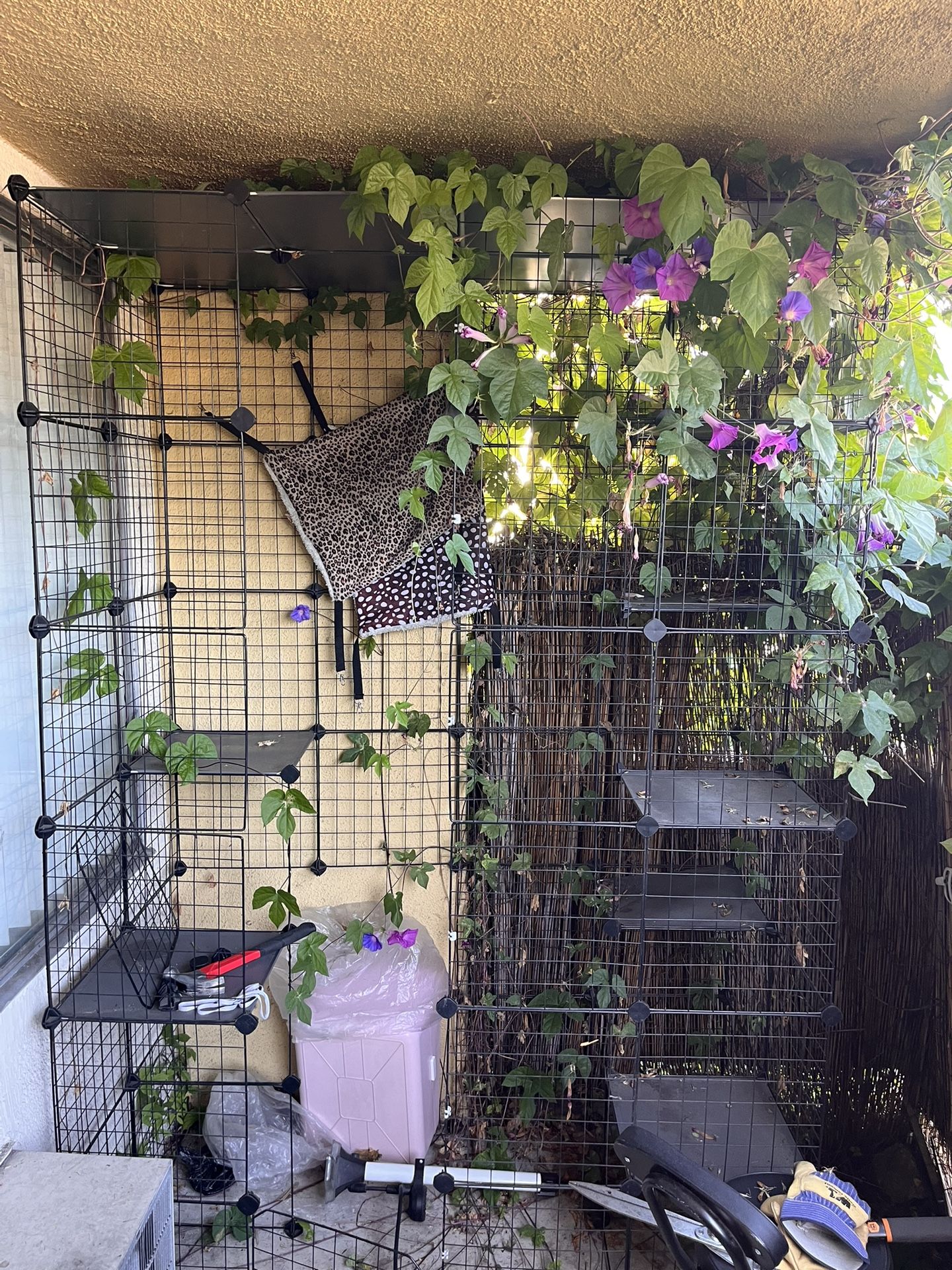 DIY OUTDOOR CATIO