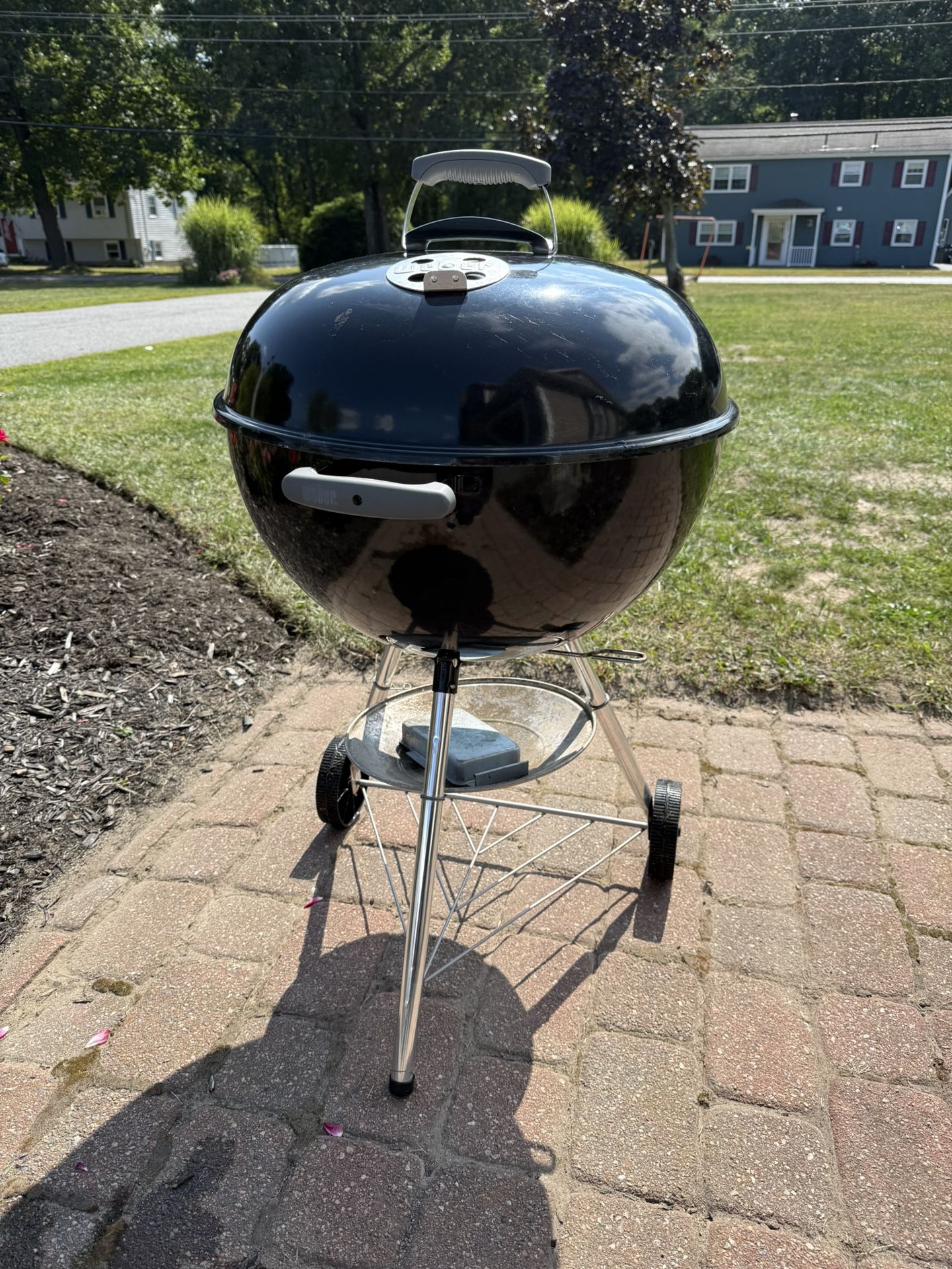 Weber Charcoal Grill