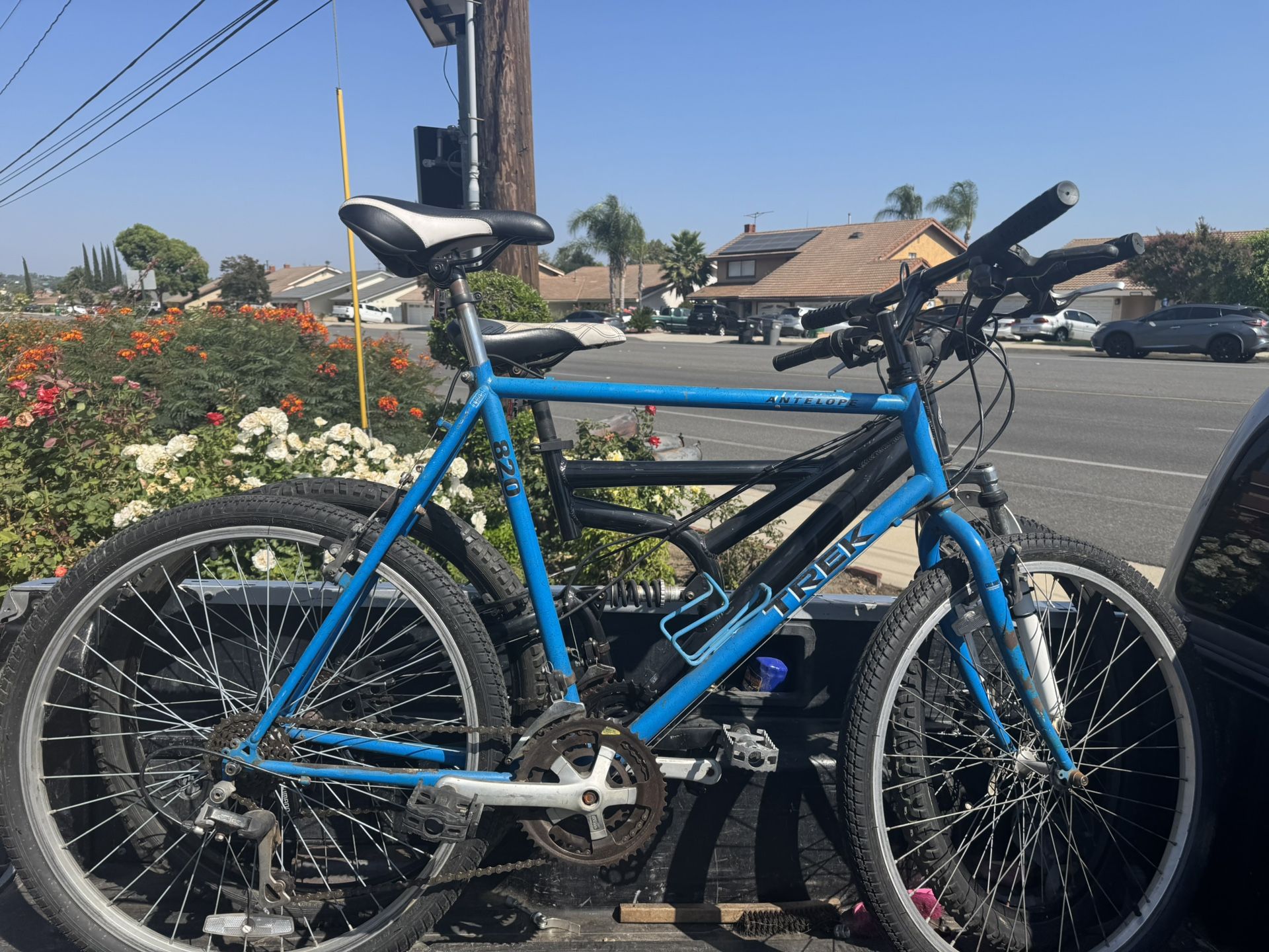 Trek Bike 
