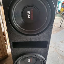 12 Inch Woofer 