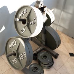 Olympic Plate Set 255 LBS