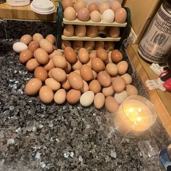 Organic Eggs 